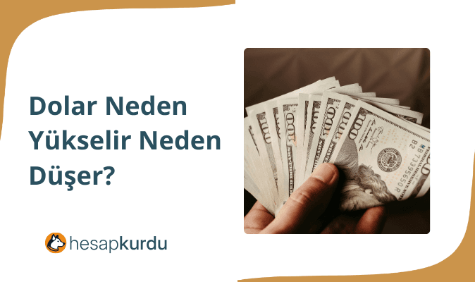 Dolar Neden Yükselir Neden Düşer?